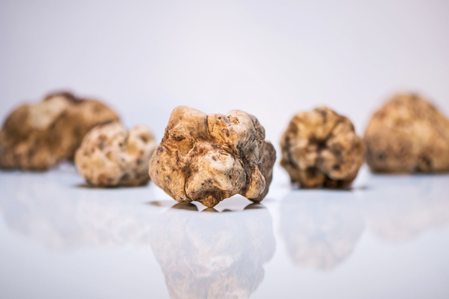 Fresh White Alba Truffles