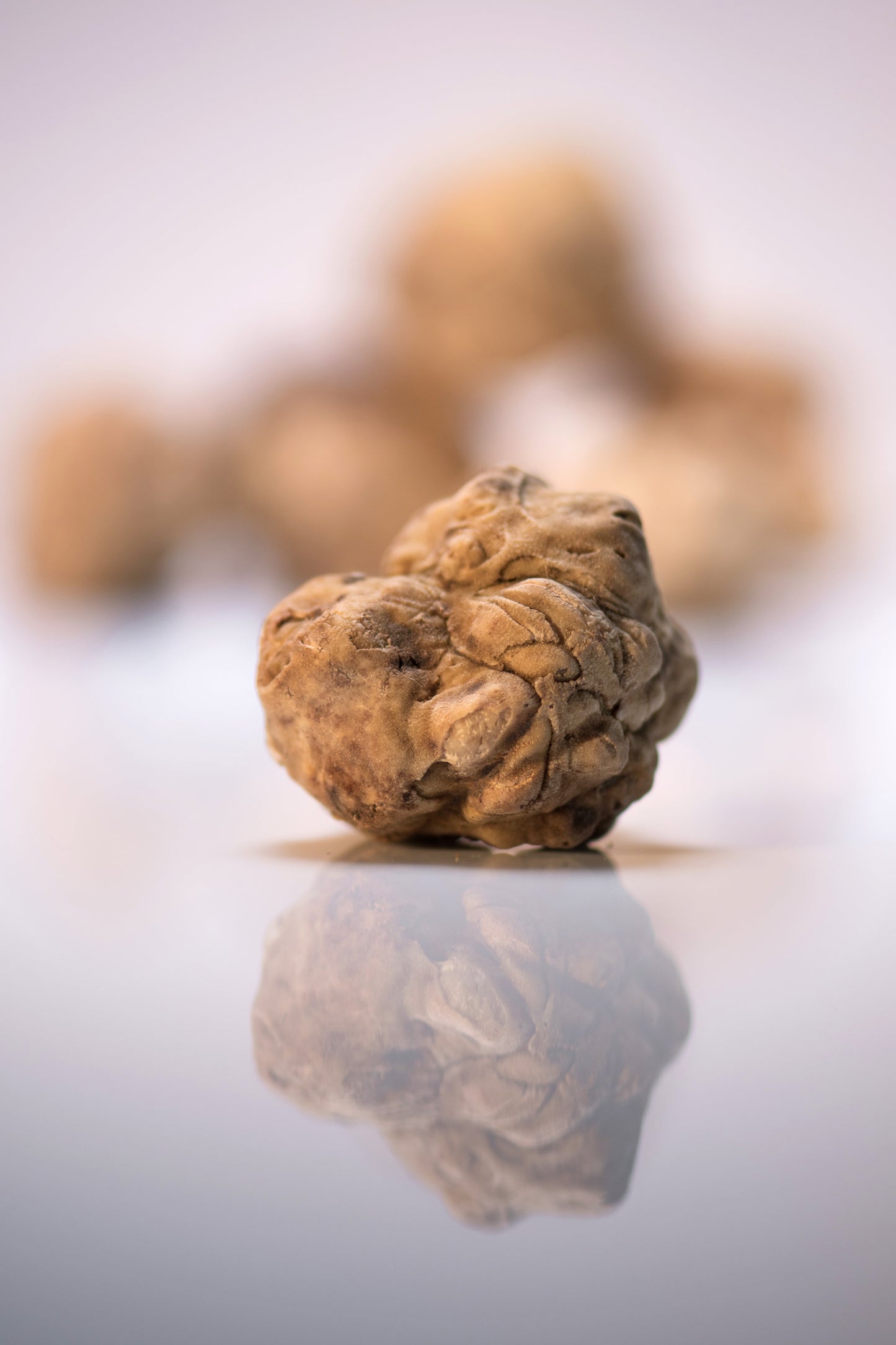 Fresh White Alba Truffles