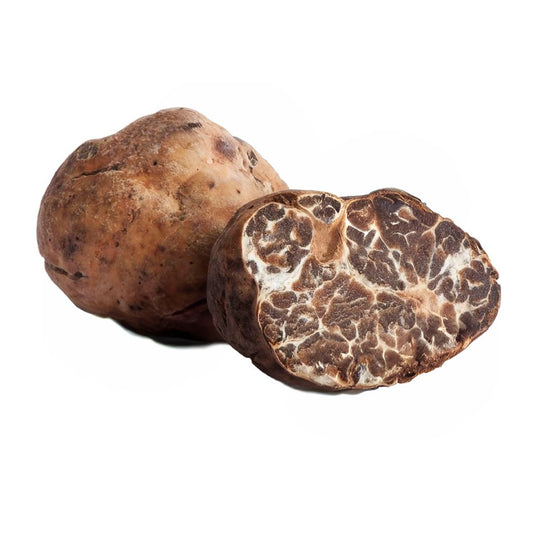 Bianchetto Truffle - Tuber Borchii