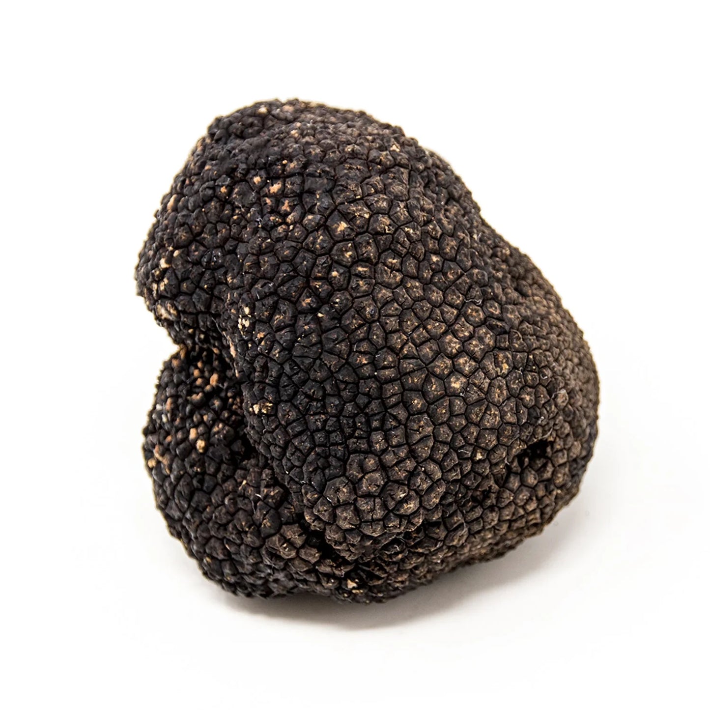 Fresh Summer Truffles